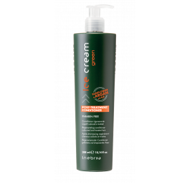 Shampoing Post Traitement Green Ice Cream - 300ml - Inebrya - Maneliss