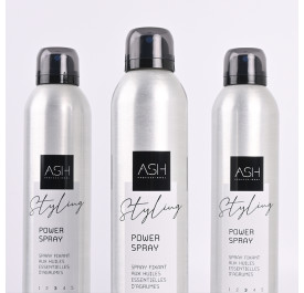 POWER SPRAY 300 ml - ASH Professional